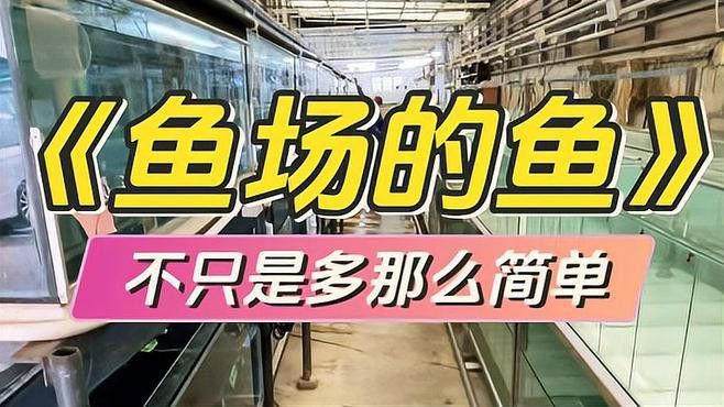金龍魚中哪個品系最稀有？