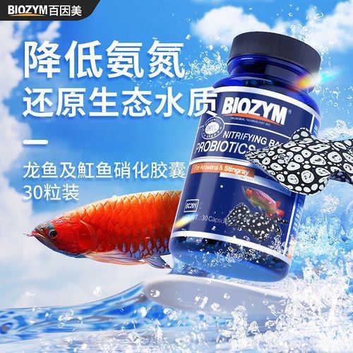 龍魚跳缸是什么征兆圖片