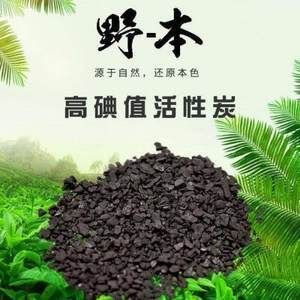 龍魚能用活性炭嗎（龍魚缸使用活性炭需要注意什么）