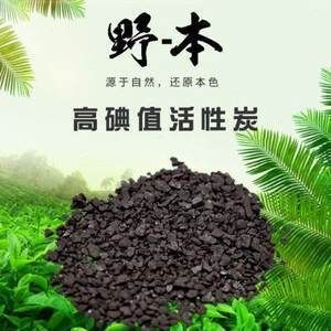 龍魚能用活性炭嗎（龍魚缸使用活性炭需要注意什么）