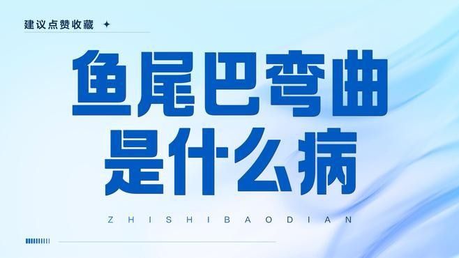 銀龍魚老是卷尾