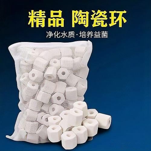 龍魚缸濾材多久清洗一次