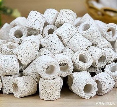 龍魚缸濾材多久清洗一次