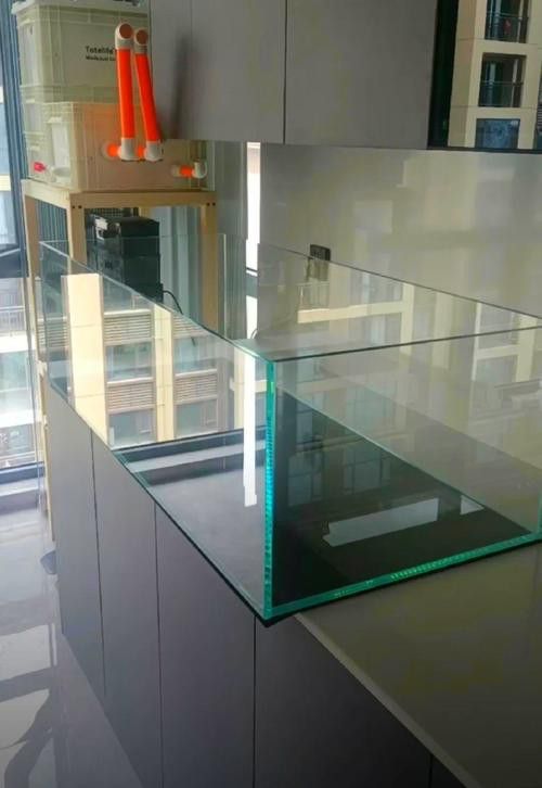 如何判斷一個魚缸是否高端？