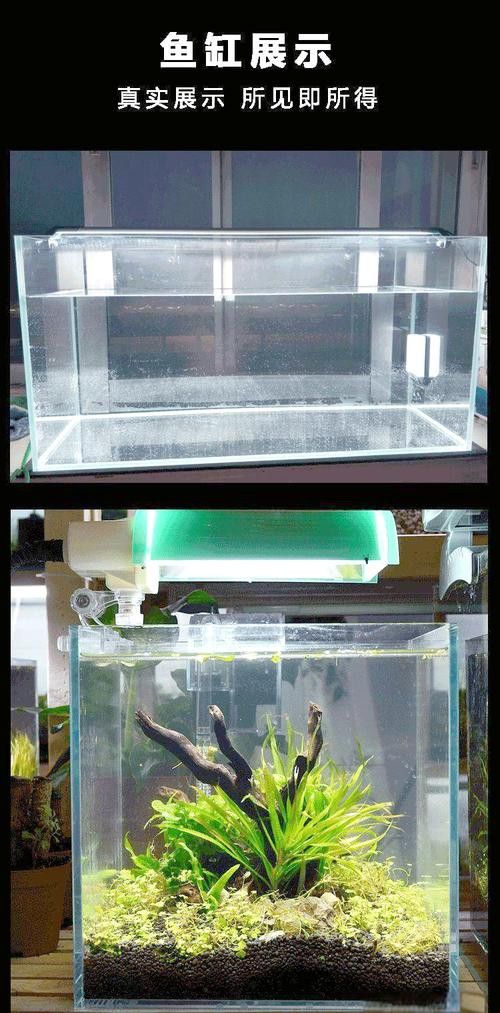 如何判斷一個魚缸是否高端？