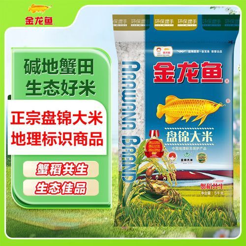 金龍魚和星點龍的區(qū)別在哪里