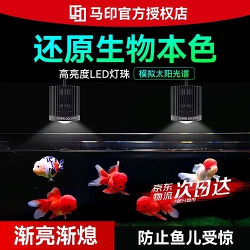 馬印和森森哪個更好？