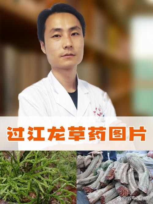 過江龍魚圖片高清圖