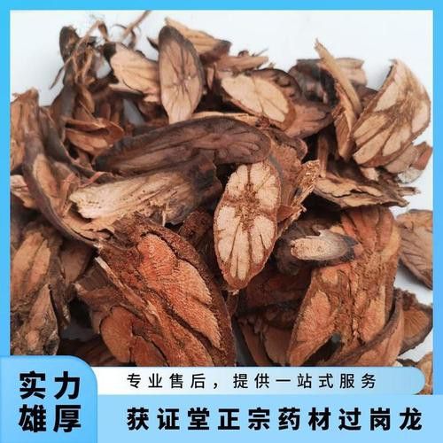 過江龍魚圖片高清圖