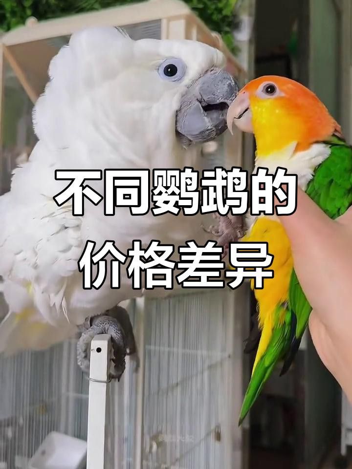 這些品種的價格差異大嗎？