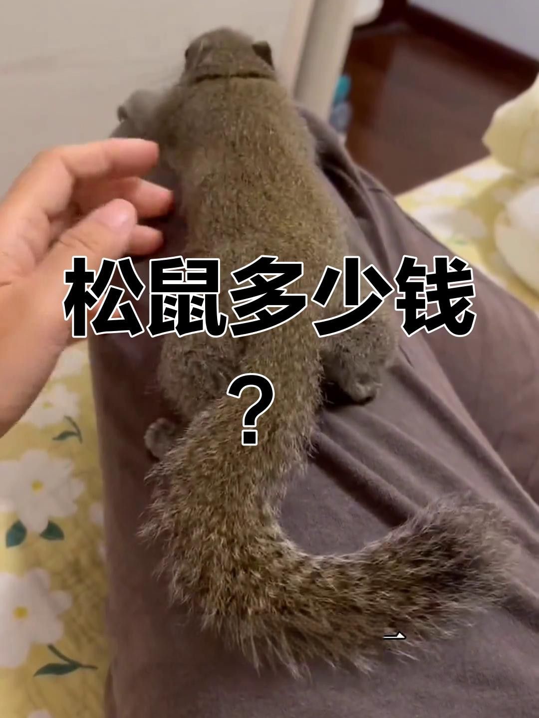 這些品種的價格差異大嗎？
