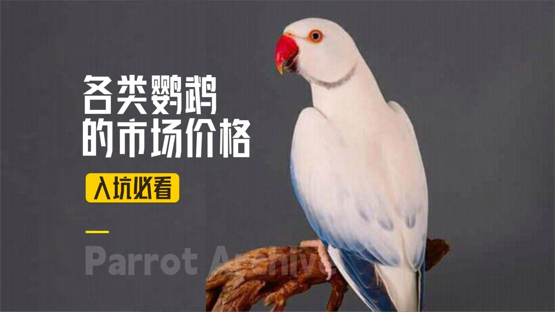 這些品種的價格差異大嗎？