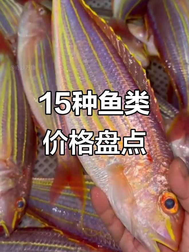 這些品種的價格差異大嗎？