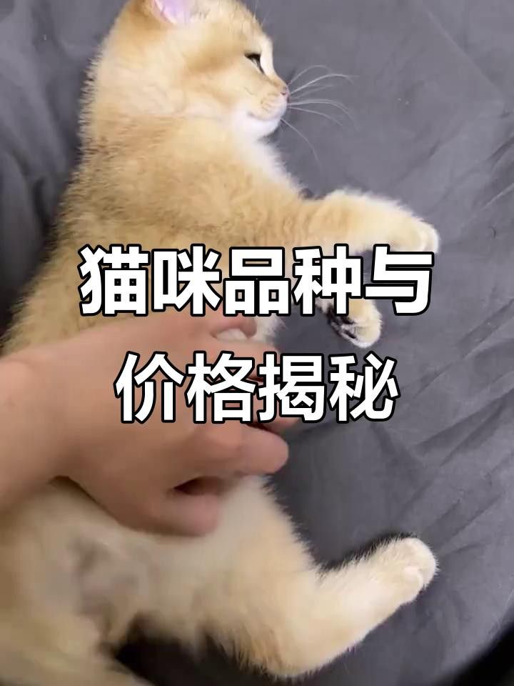 這些品種的價格差異大嗎？