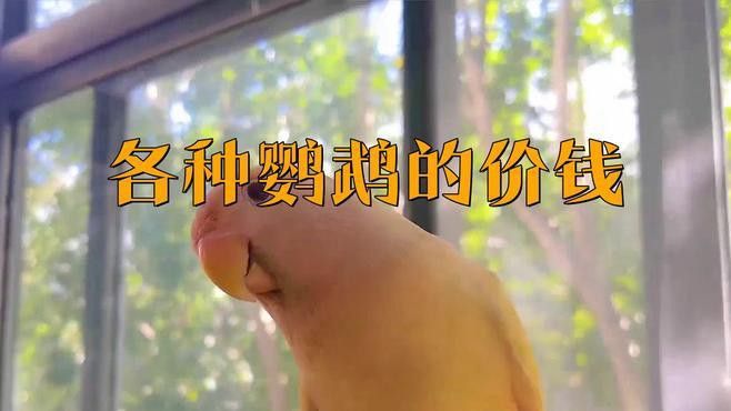 這些品種的價格差異大嗎？
