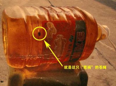 金龍魚宣傳詞是什么意思啊，金龍魚品牌發展歷程,金龍魚市場領先原因