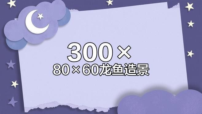 龍魚魚缸可以造景嗎圖片