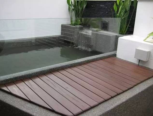 龍魚魚缸可以造景嗎圖片