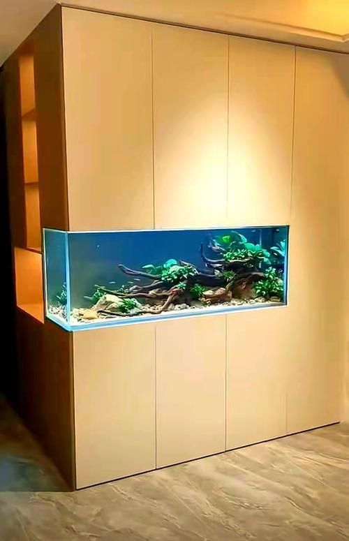 能否提供魚(yú)缸擺放效果圖？