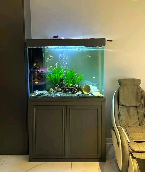 能否提供魚(yú)缸擺放效果圖？