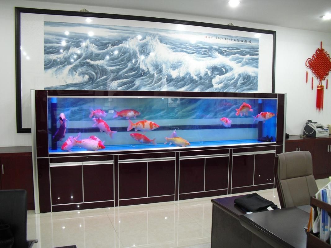 能否提供魚(yú)缸擺放效果圖？
