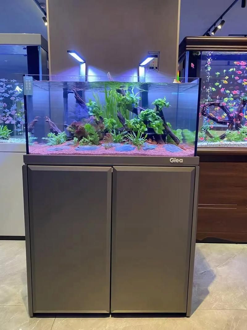 能否提供魚(yú)缸擺放效果圖？