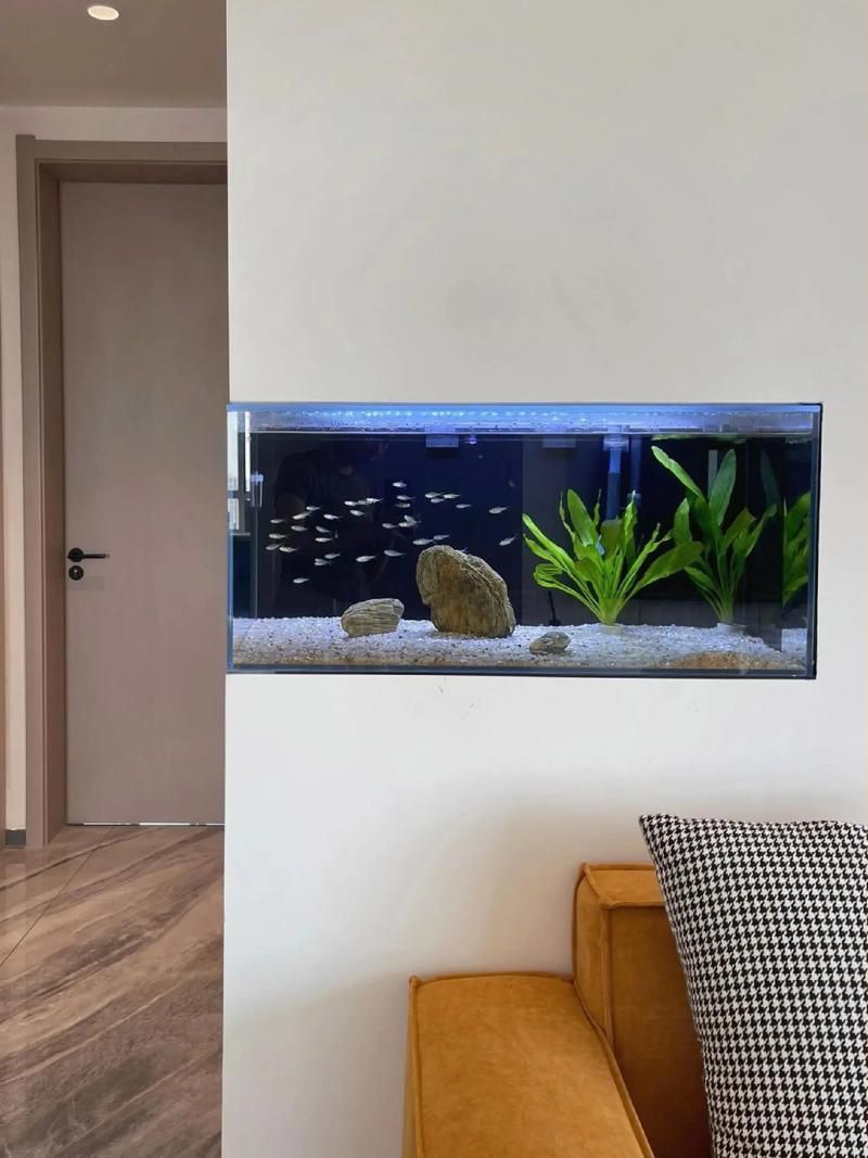 能否提供魚(yú)缸擺放效果圖？