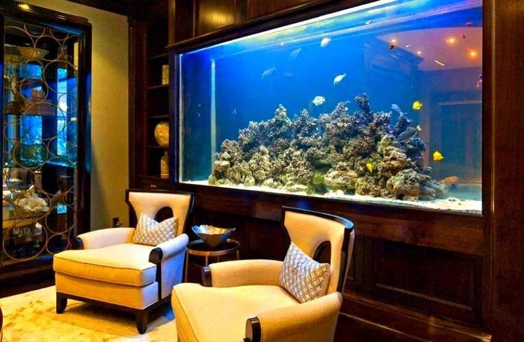 能否提供魚(yú)缸擺放效果圖？