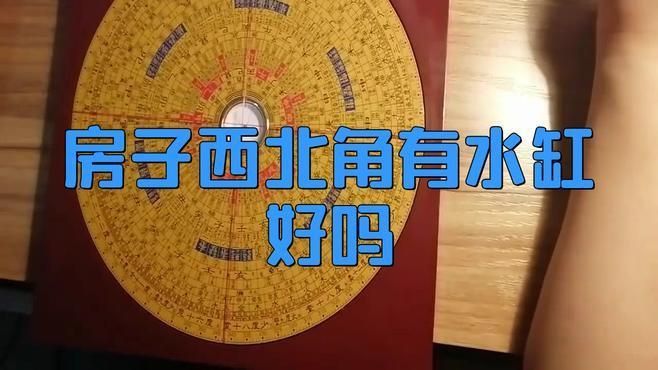 客廳西北角放魚缸好不好 龍魚百科 第3張 客廳西北角放魚缸好不好 客廳西北角放魚缸好不好 龍魚百科 第3張