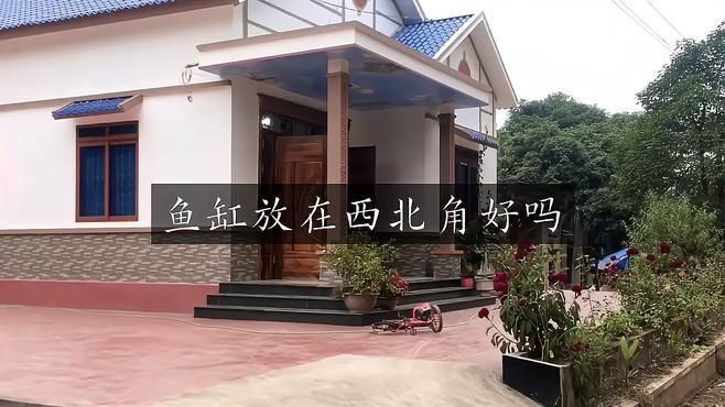 客廳西北角放魚缸好不好 龍魚百科 第1張 客廳西北角放魚缸好不好 客廳西北角放魚缸好不好 龍魚百科 第1張