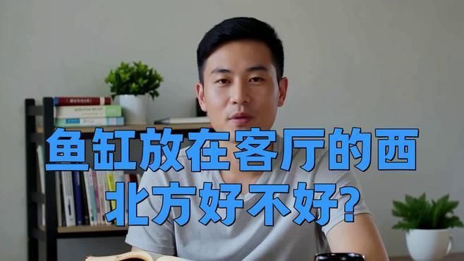 客廳西北角放魚缸好不好 龍魚百科 第4張 客廳西北角放魚缸好不好 客廳西北角放魚缸好不好 龍魚百科 第4張