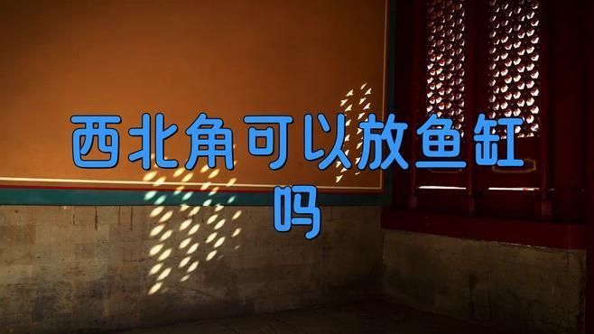 客廳西北角放魚缸好不好 龍魚百科 第7張 客廳西北角放魚缸好不好 客廳西北角放魚缸好不好 龍魚百科 第7張