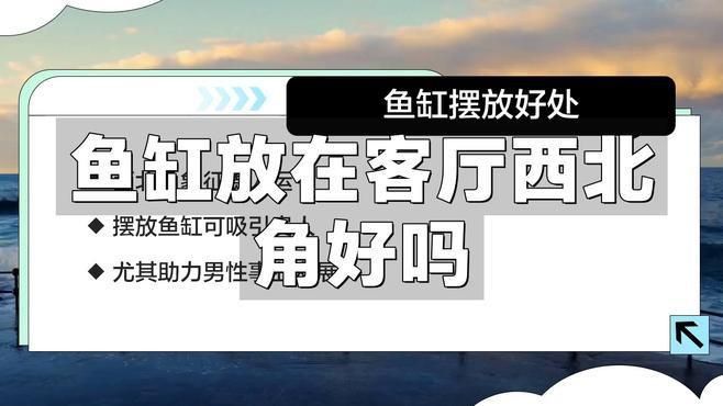 客廳西北角放魚缸好不好 龍魚百科 第8張 客廳西北角放魚缸好不好 客廳西北角放魚缸好不好 龍魚百科 第8張