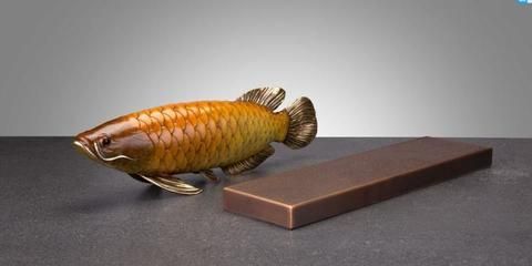 細店鋪是不是不能養金龍魚（細店鋪可以養金龍魚嗎）