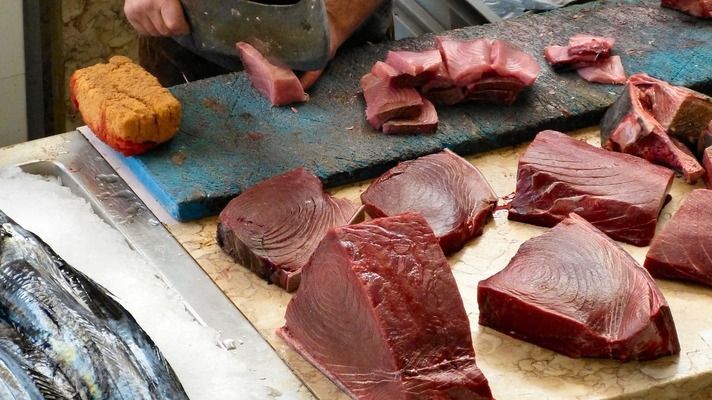 龍魚品種排行榜前十名，2024年龍魚品種排行榜