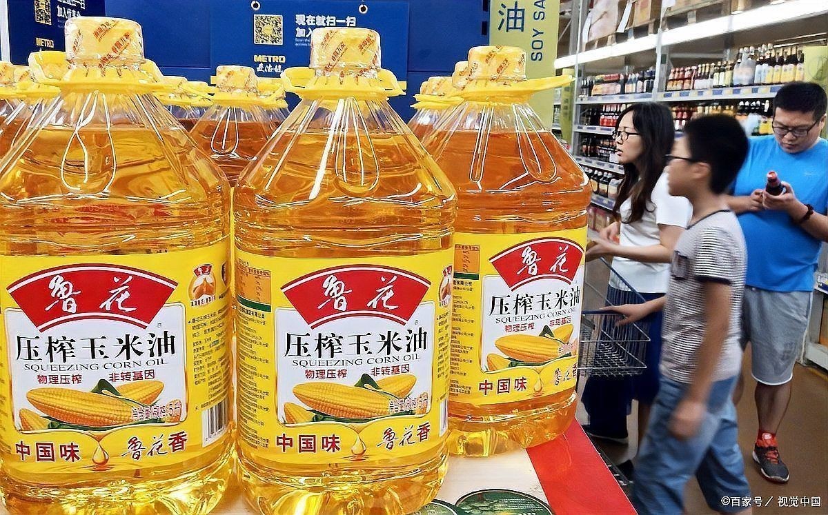 中國十大金龍魚排名