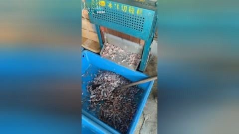 龍魚下蛋是什么兆頭（關于龍魚下蛋的兆頭，我們可以得出以下結論以下結論）
