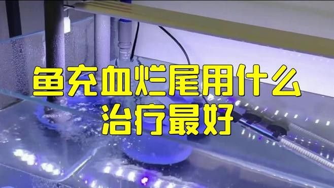 龍魚充血后如何急救？