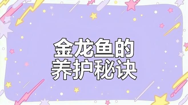 金龍魚為什么那么貴？