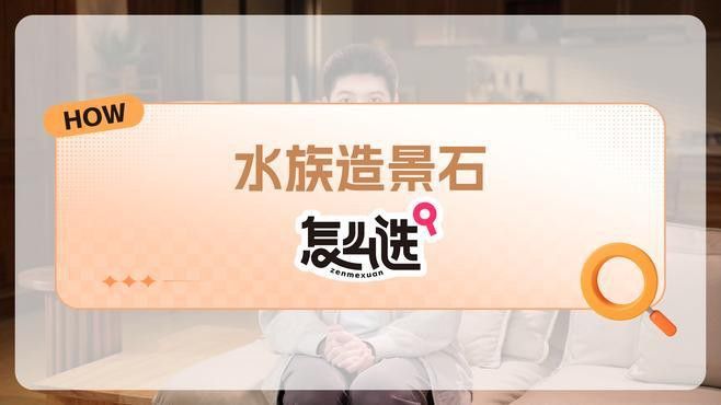 養銀龍魚缸底部放什么好