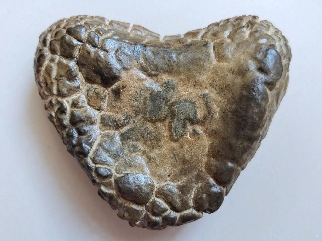 龍鱗石原石圖片