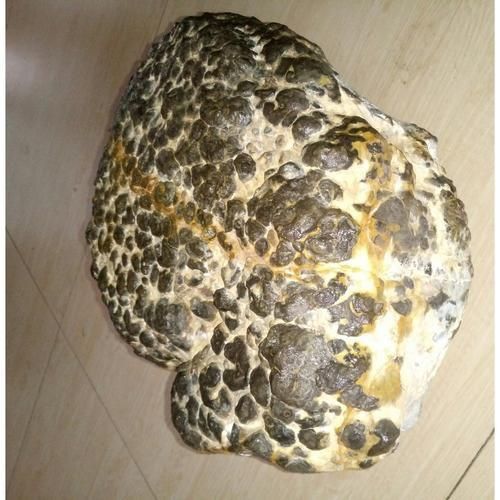 龍鱗石原石圖片