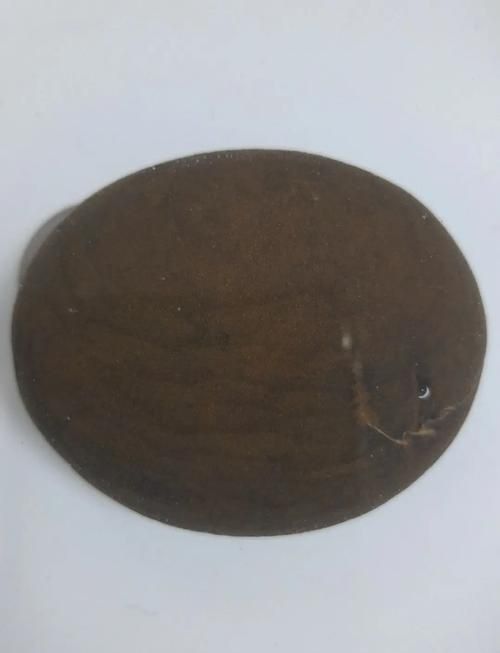龍鱗石原石圖片