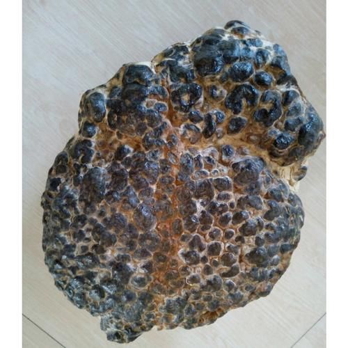 龍鱗石原石圖片
