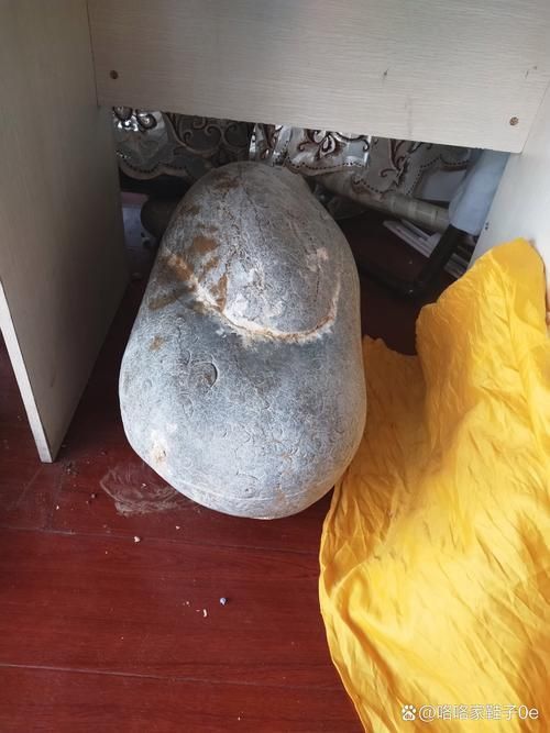 龍鱗石原石圖片