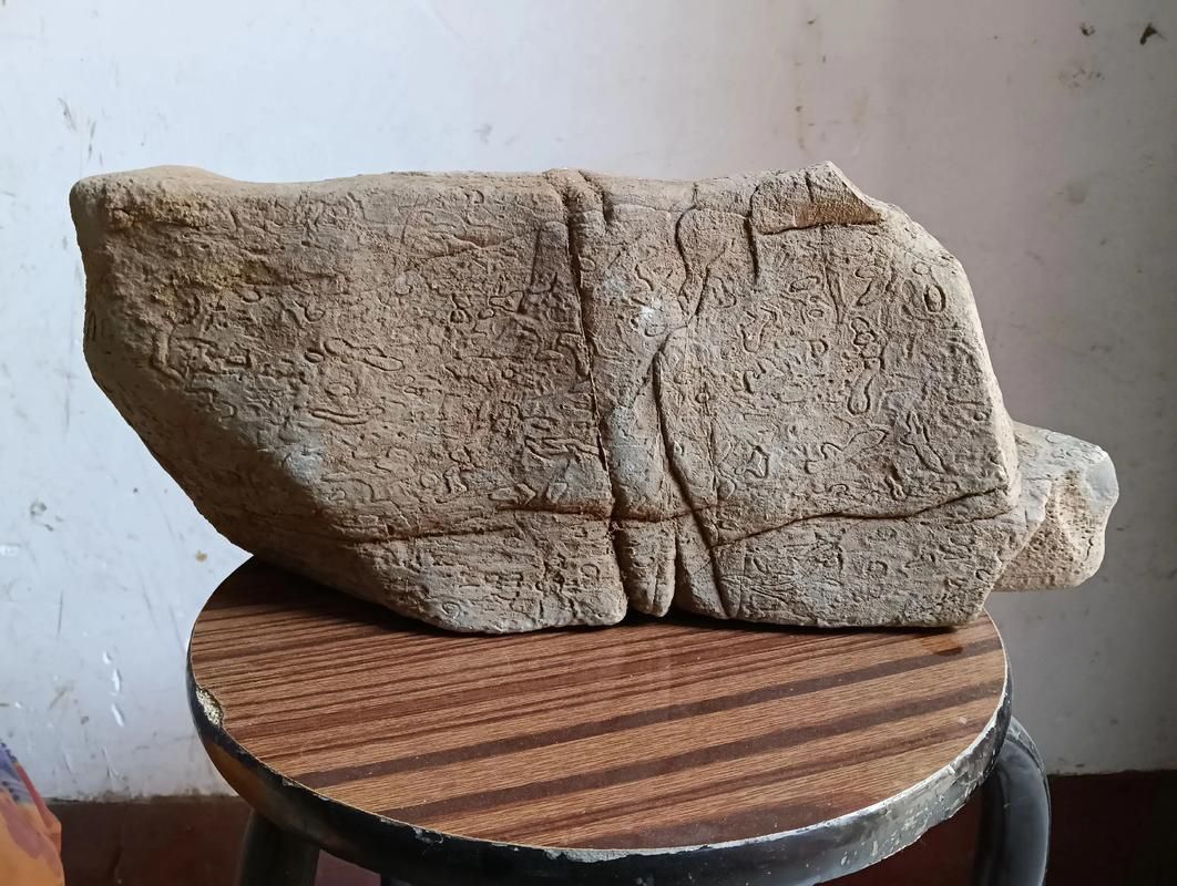 龍鱗石原石圖片