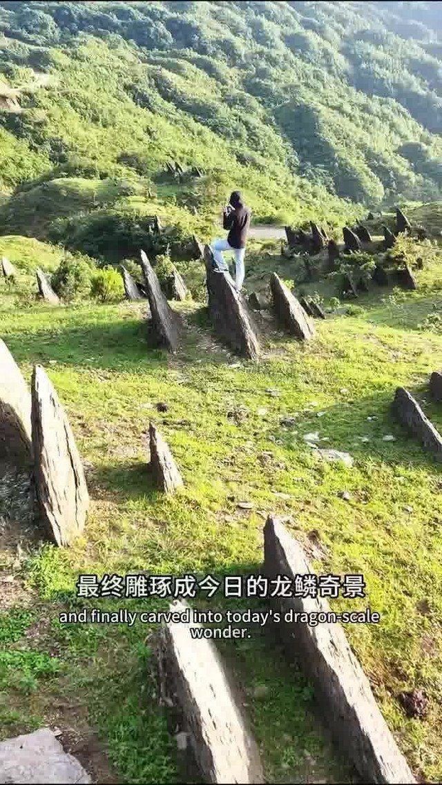 龍鱗石原石圖片