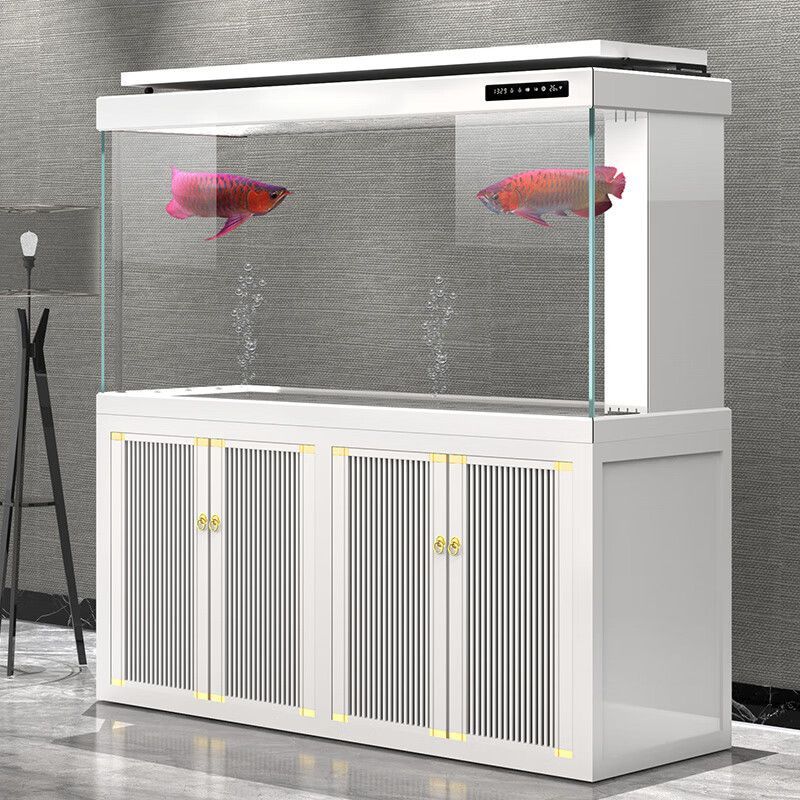 龍魚黑缸制作：龍魚黑缸制作過程及注意事項