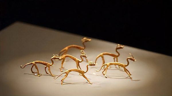 古典金龍和現(xiàn)代金龍哪個更稀有？