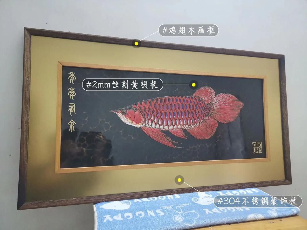 紅龍魚(yú)品種排行圖片欣賞圖